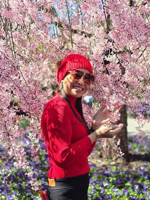 Cherry Blossom Booming in September
